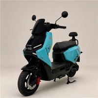 بالغ OEM/ODM فیکٹری کے لیے 2000W الیکٹرک سکوٹر